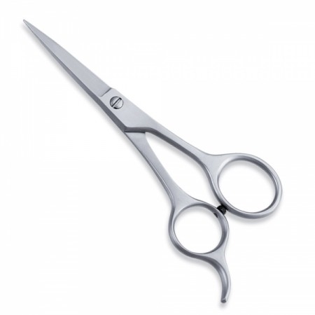 Economy Scissor