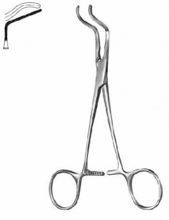 Subramanian-Miniature 