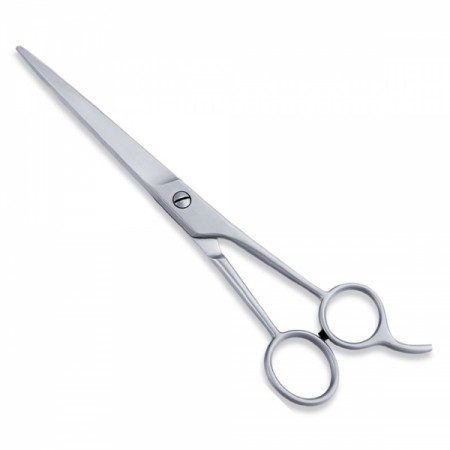 Economy Scissor