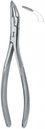 Root Fragments and Universal 501 